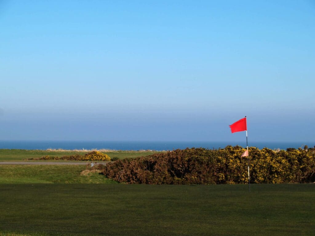 what-is-gorse-on-a-golf-course-golfchase